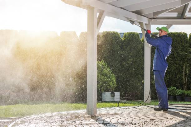 Best Roof Washing  in Lakeview, GA
